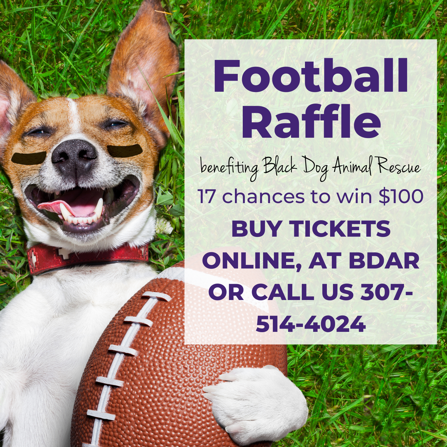 Football Raffle - logo